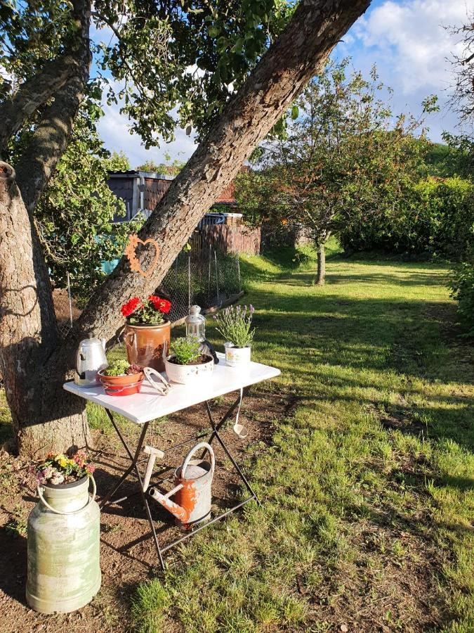 Ferienhaus "Am Staufenberg" Blankenburg  Eksteriør bilde